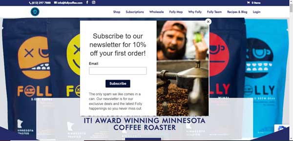 GoDaddy website examples.
