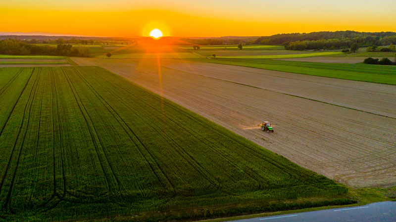 Aerial view of a farm.