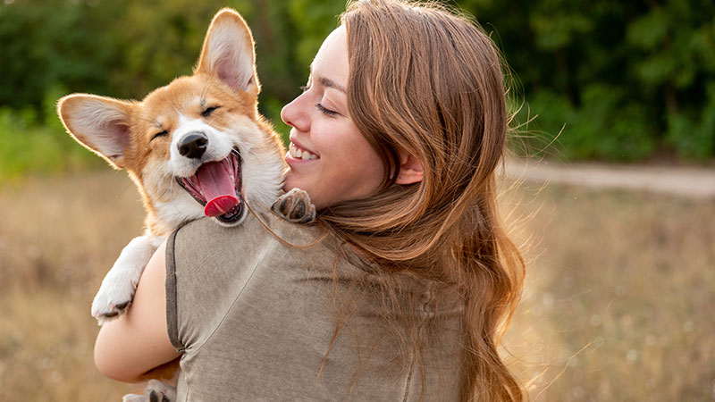 A woman holding a smiling corgi.