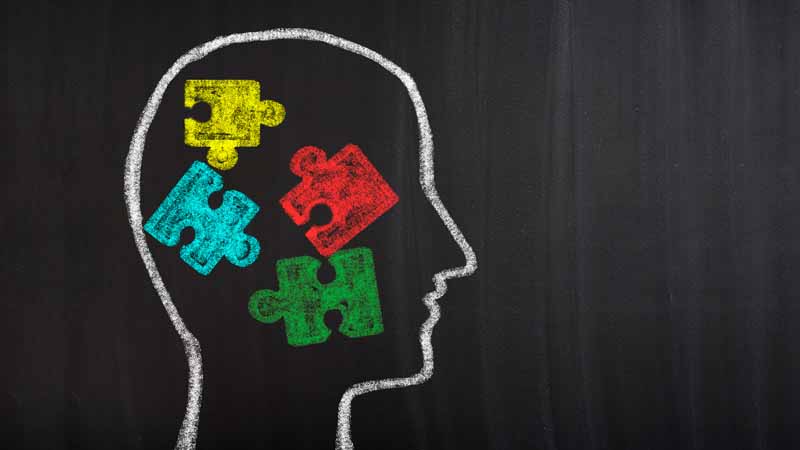 Drawing of a human head with puzzle pieces inside.