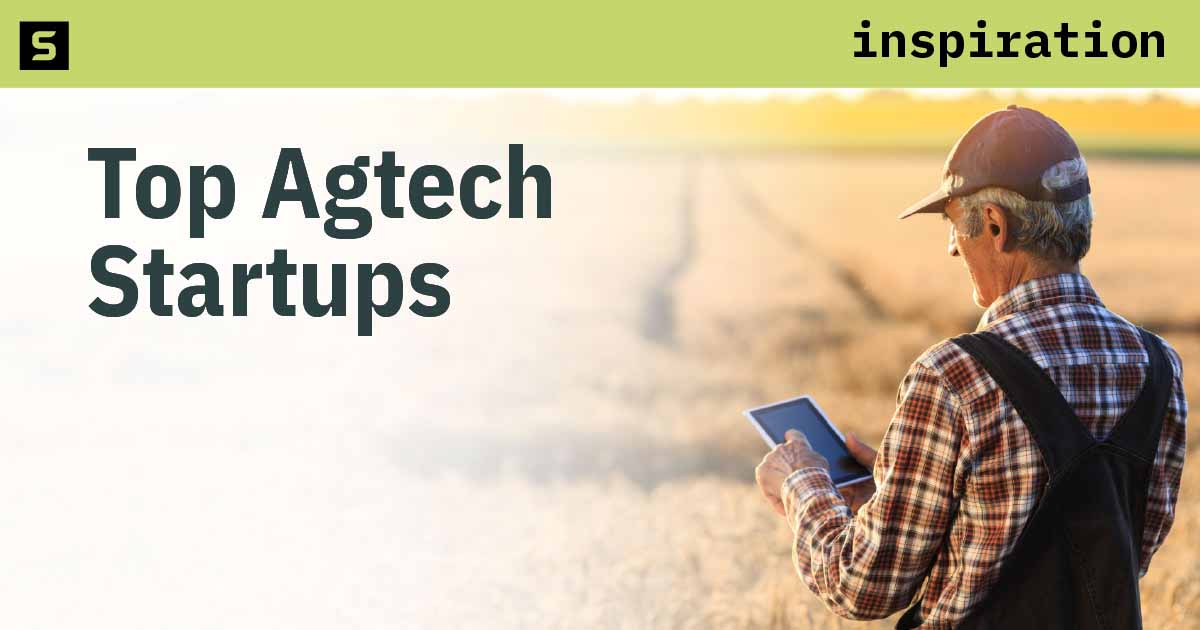 Man looking at agricultural statistics on a tablet.