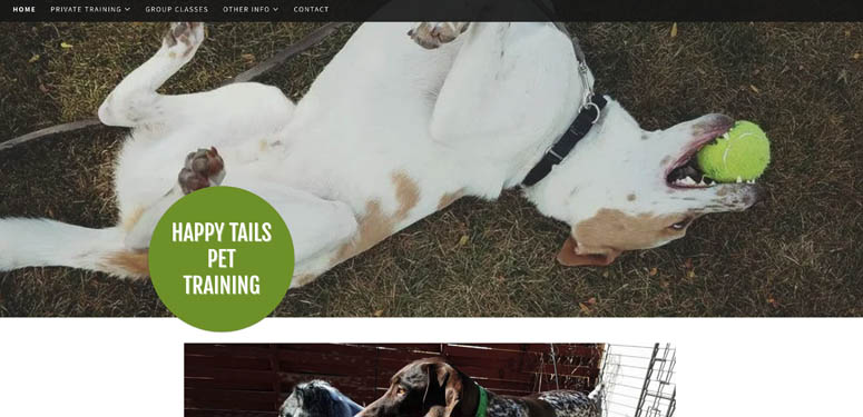 GoDaddy website example, Happy Tails Pet Training.