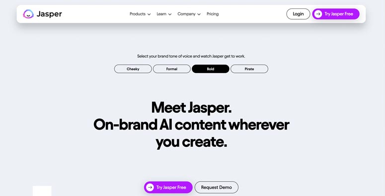 Jasper website