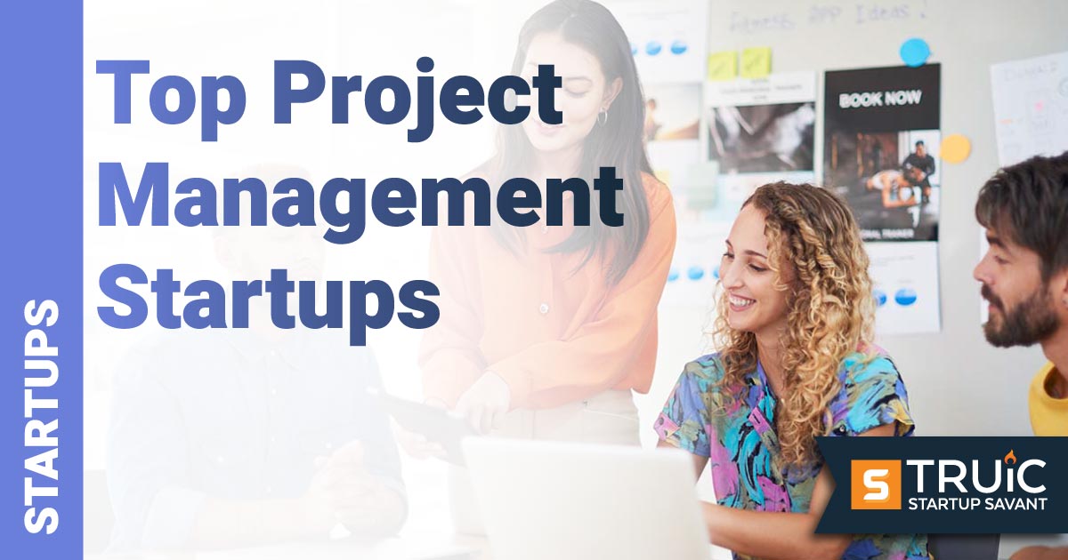 Young co-workers collaborating in an office.