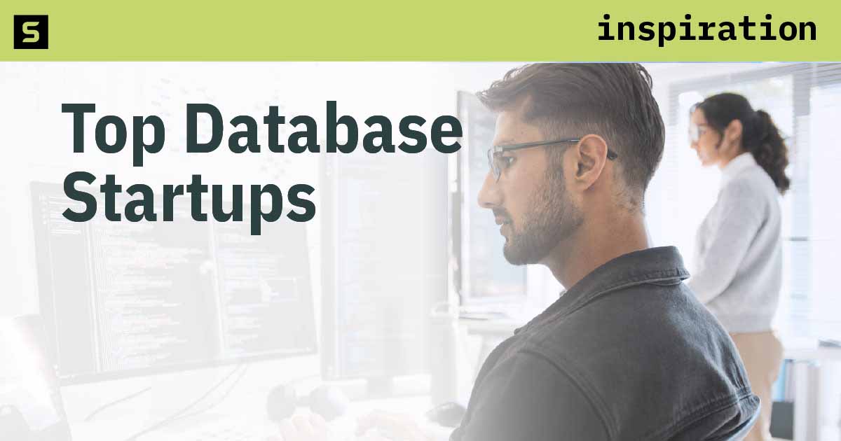 Person looking at a database.