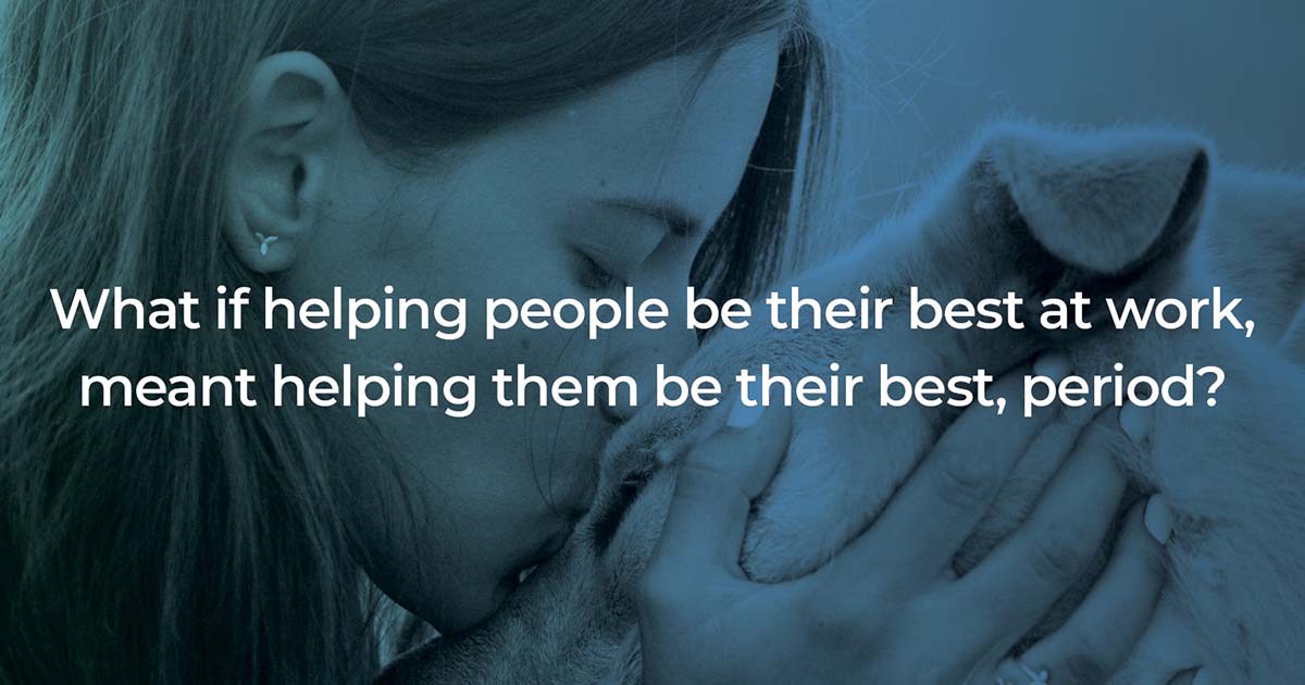 SPOTLYFE website banner.