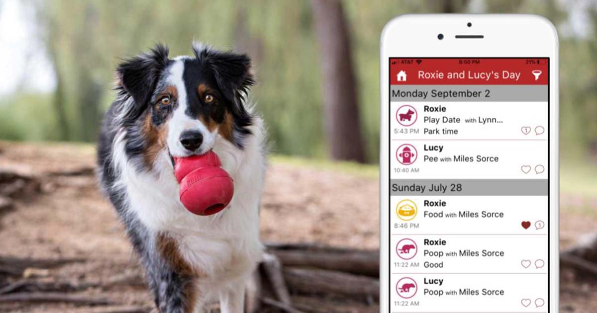 Dog posing next to DogLog app.