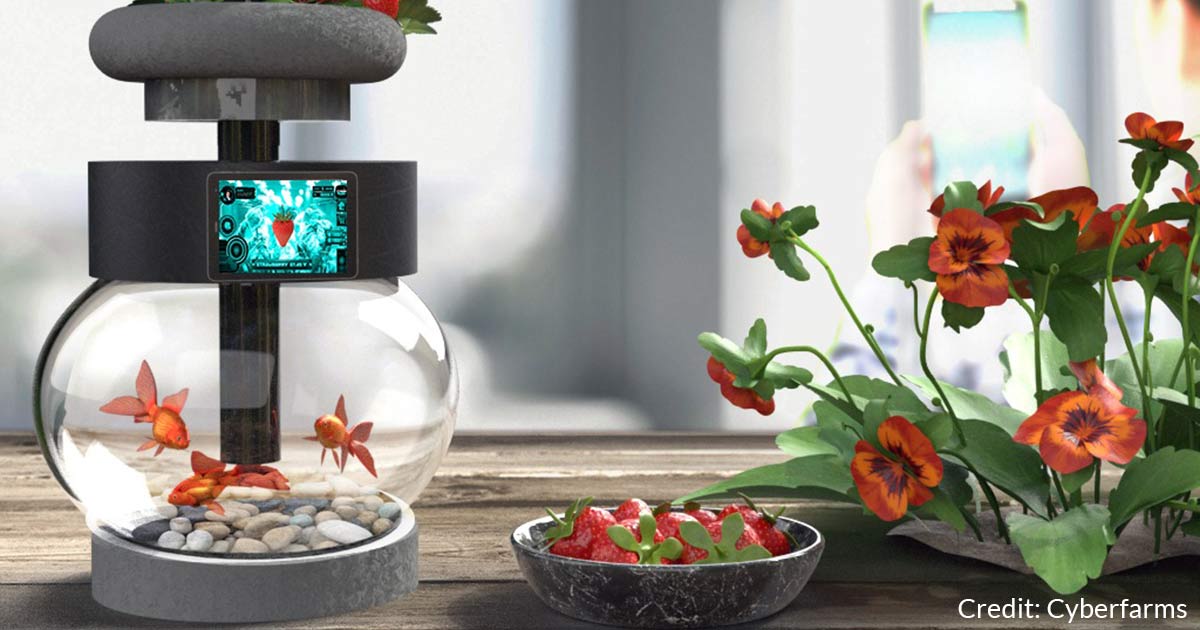 Cyberfarms at-home farming system.