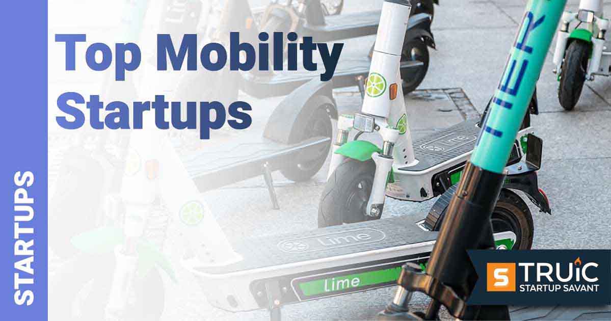 A collection of scooters.